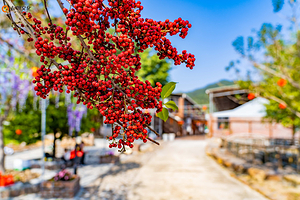 利众生态游乐园