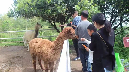 绍兴美湖动物园第 6 张图片