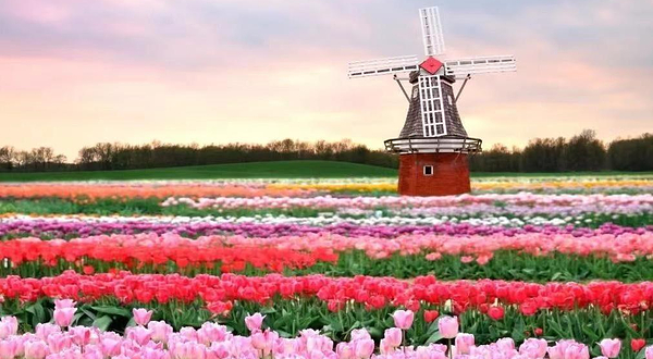 太湖花海户外烧烤