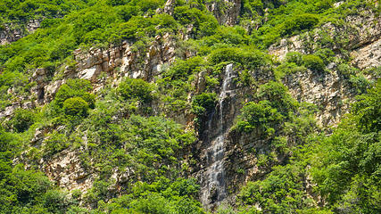 九山顶自然风景区第 19 张图片