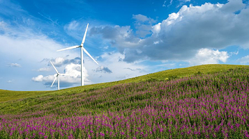 锡林郭勒盟(柳兰沟)