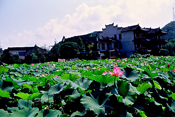 芙蓉镇第 65 张图片