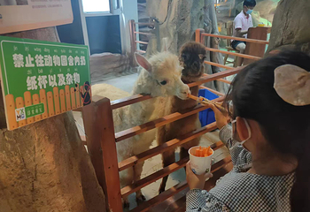 印象萌宠主题乐园第 12 张图片