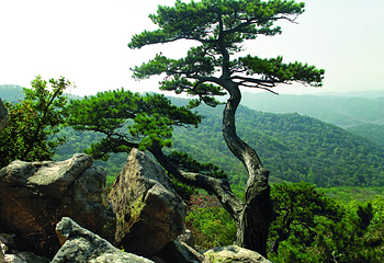 城子山风景区第 30 张图片