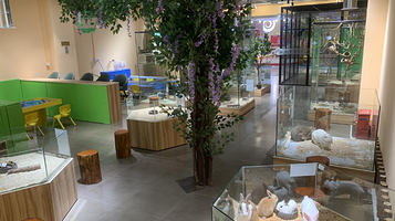 恋恋鱼萌宠体验馆(港闸大润发店)