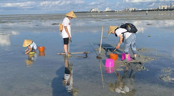 红树林天天赶海集散点