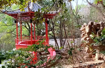 东山公园第 2 张图片