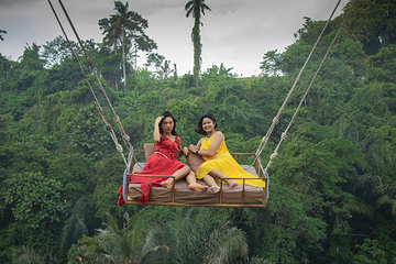 巴厘岛大秋千第 19 张图片