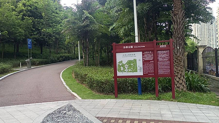 深圳沙井公园第 1 张图片