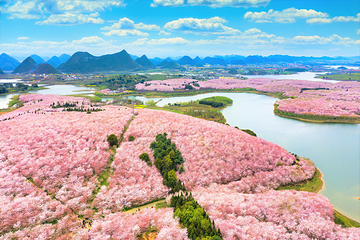 平坝农场第 1 张图片