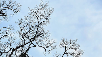 塘朗山公园第 1 张图片