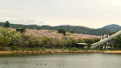 蓝田紫林旅游度假区第 142 张图片