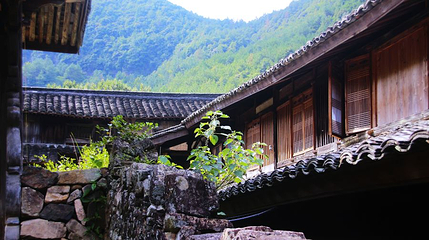 徐岙底第 1 张图片