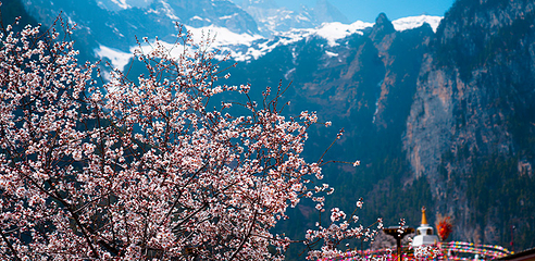 香格里拉巴拉格宗风景名胜区第 76 张图片