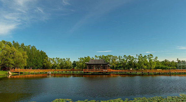 绿山川阳光农场&营地Farm&Glamping
