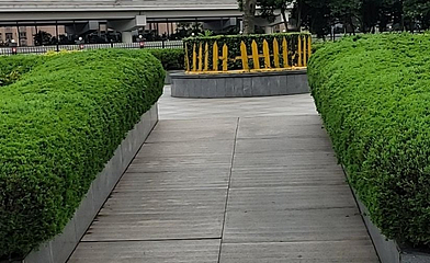 西安牡丹苑第 1 张图片