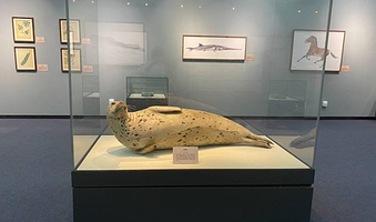 三亚自然博物馆