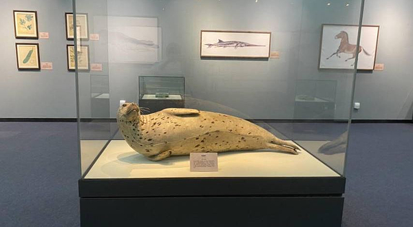 三亚自然博物馆