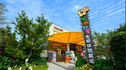 魔菇部落生态休闲农场第 1 张图片