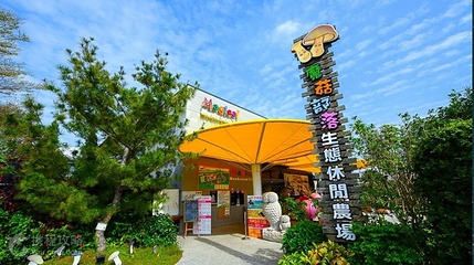 魔菇部落生态休闲农场第 2 张图片