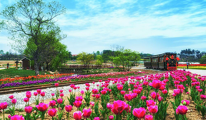 木兰花乡景区(木兰不夜城)第 20 张图片