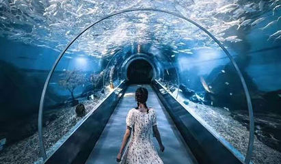 海合安武汉极地海洋公园第 437 张图片