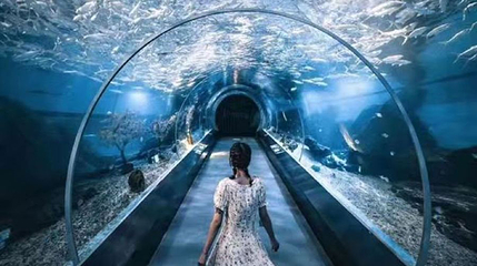海底二万里第 1 张图片