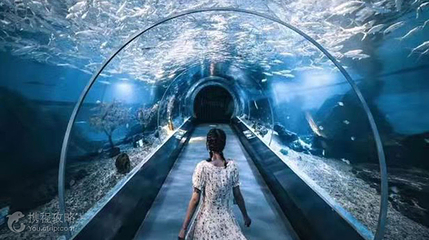 海底二万里第 3 张图片