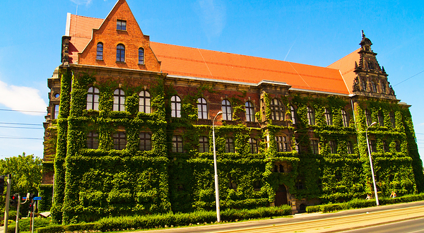 弗罗茨瓦夫国家博物馆