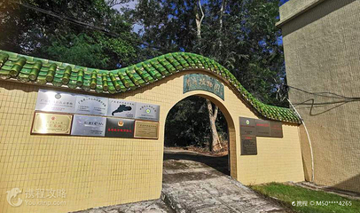 茂名市珍稀植物园第 3 张图片
