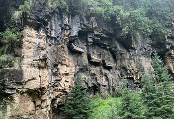 碧峰峡景区第 142 张图片