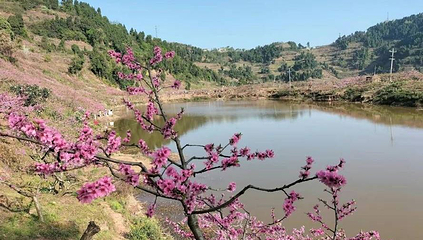 龙泉山天池第 1 张图片