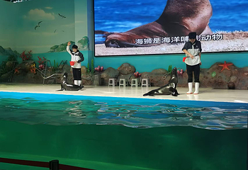 梦幻海洋企鹅馆第 83 张图片