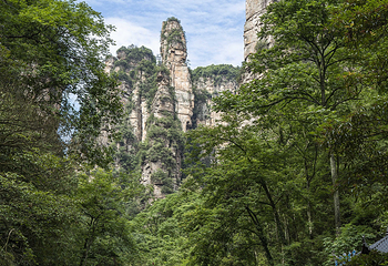 金鞭溪峡谷第 31 张图片