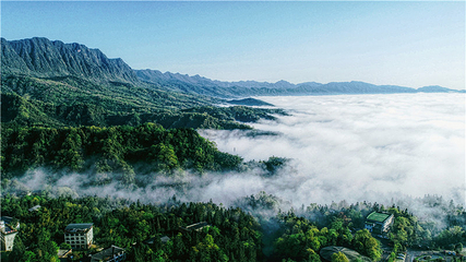 碧峰峡景区第 76 张图片