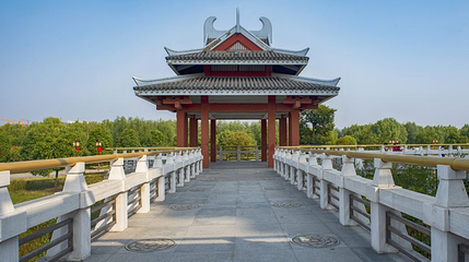 沙沟湖水杉公园第 1 张图片