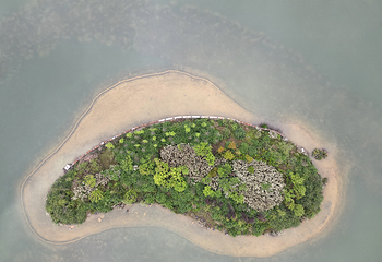 新蒲湿地公园第 45 张图片