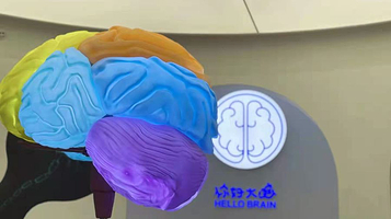 你好大脑脑科学馆