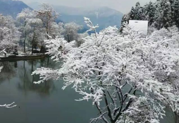 川西红枫岭第 45 张图片