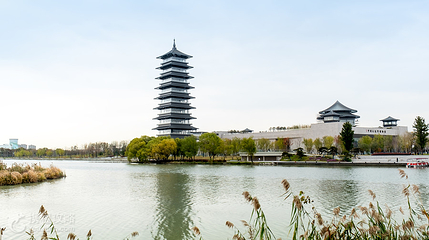 三湾湿地公园第 2 张图片