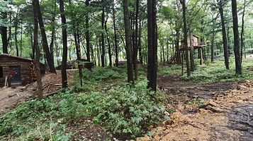 舒兰市301森林公园