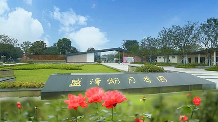 盛泽湖月季园第 15 张图片