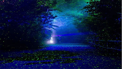雄森不夜城第 7 张图片