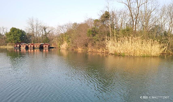 西溪国家湿地公园-莲花滩观鸟区