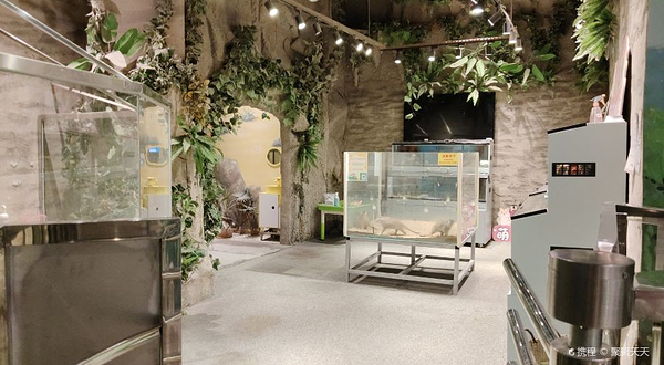 WOWOZOO窝窝萌宠乐园 (宝安大仟里购物中心店)