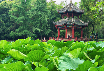 房湖公园第 2 张图片
