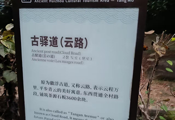 唐模第 44 张图片