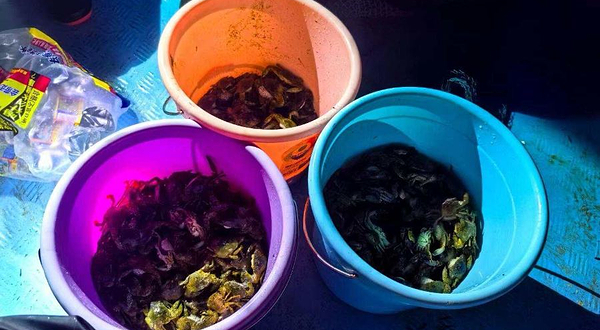 小顽童赶海俱乐部