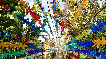 昌黎国际滑沙中心