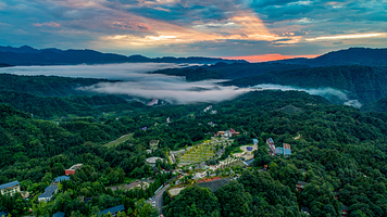 碧峰峡野生动物世界